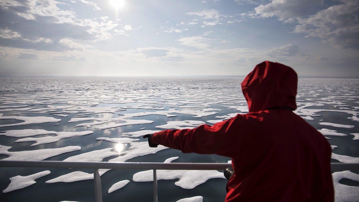 Des chercheurs arrivent à mieux prédire la fonte de la banquise en Arctique
