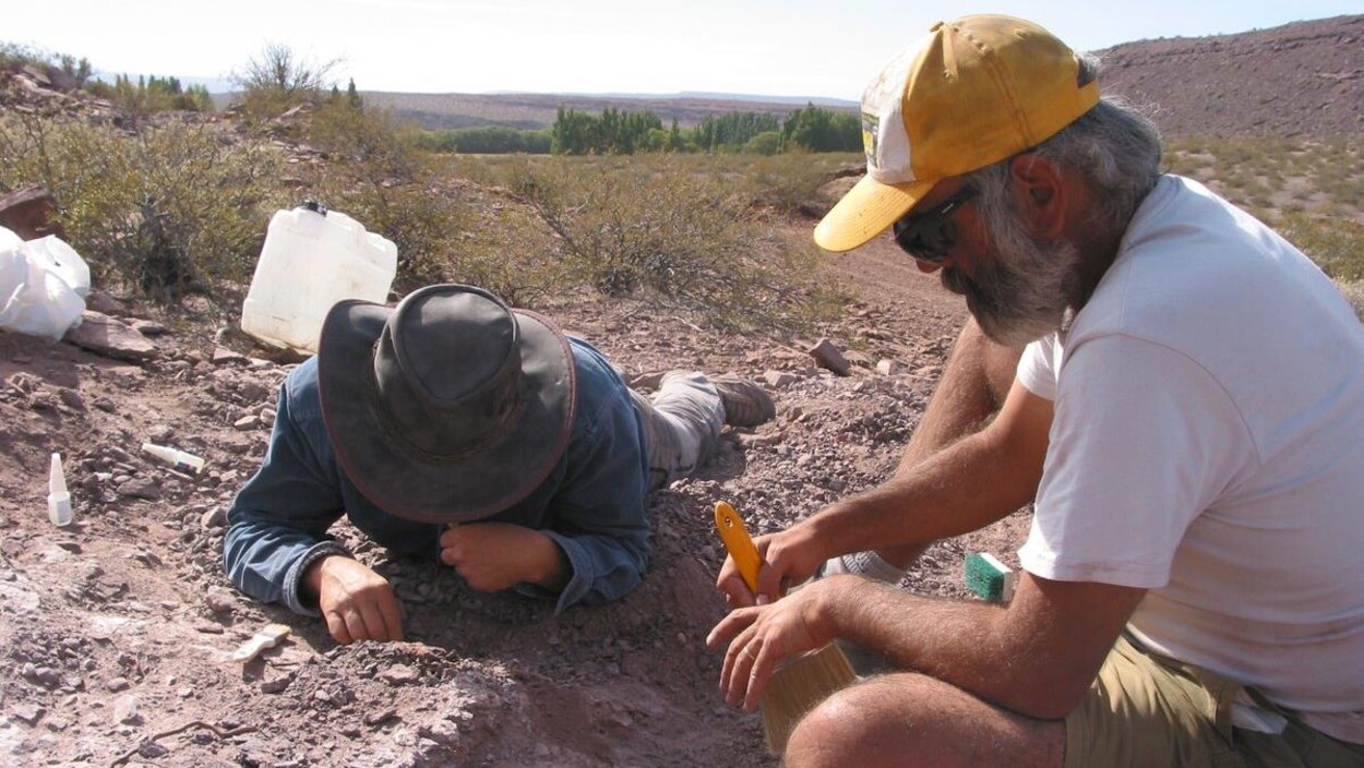 Des chercheurs en paléontologie creusent le sol.