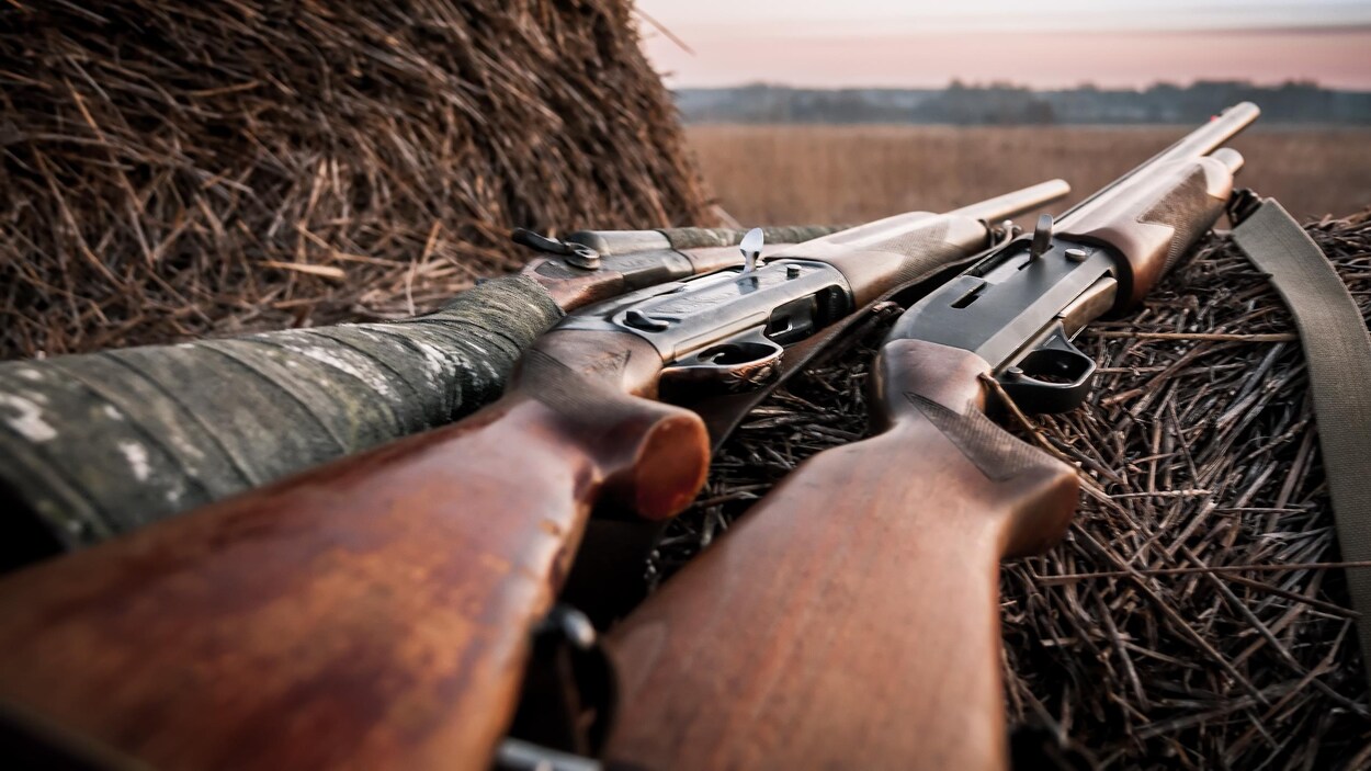 Des armes d'épaule sont déposées sur du foin.