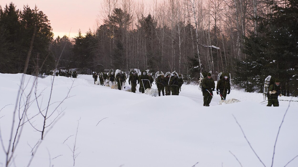 Des soldats marchent dans la forêt avec leurs équipements.