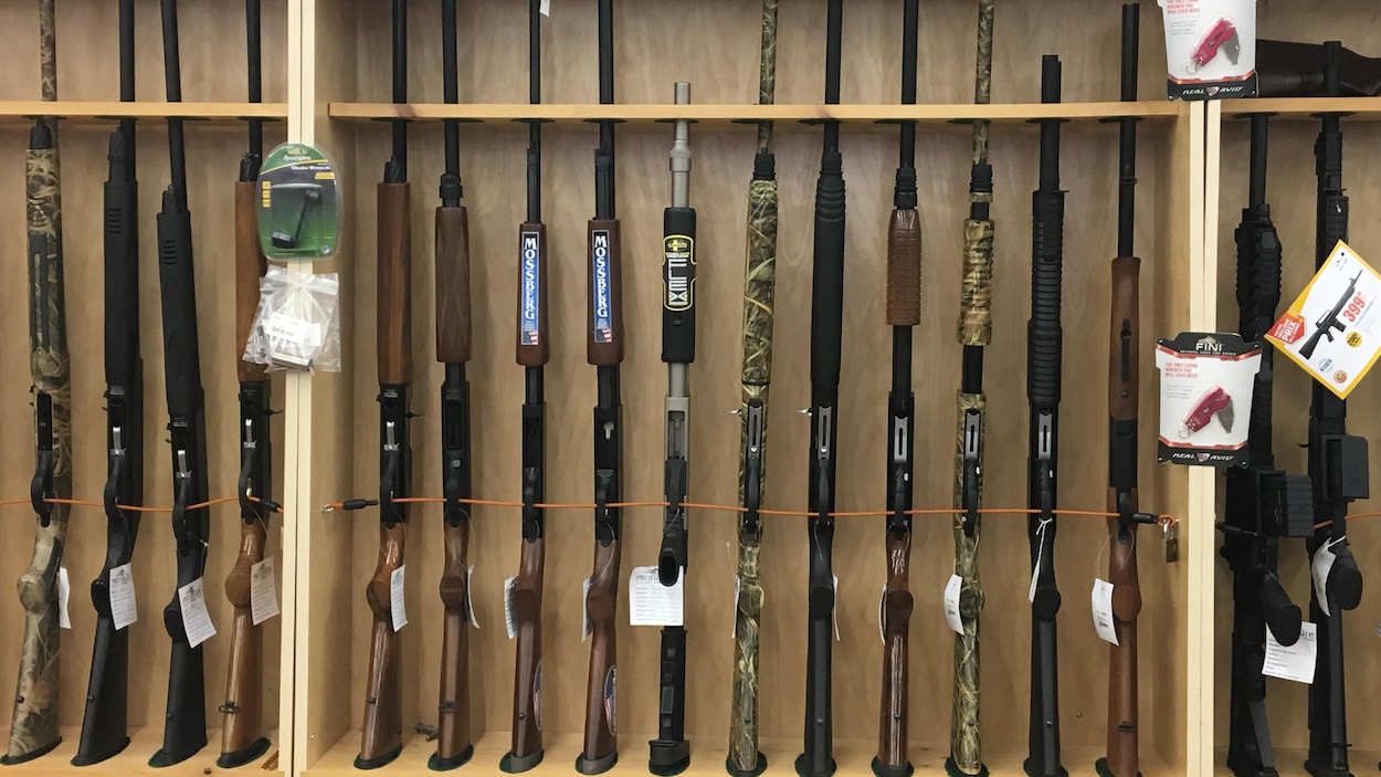 Armes à feu et accessoires pour armes à feu — Groupe Pronature