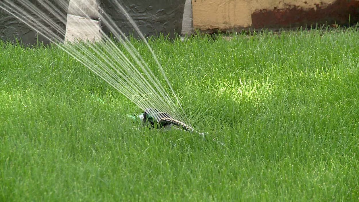 Calgary limite l’arrosage extérieur à trois jours par semaine
