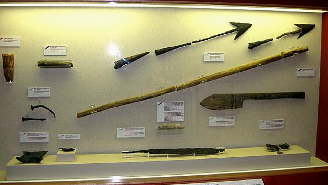 Des artéfacts divers exposés en vitrine.