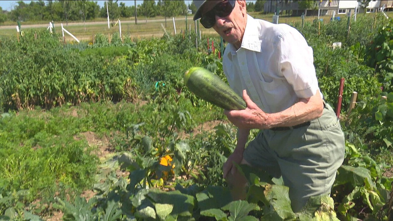 Debout dans un potager, un homme de 89 ans porte des lunettes fumées et brandit une large courgette.
