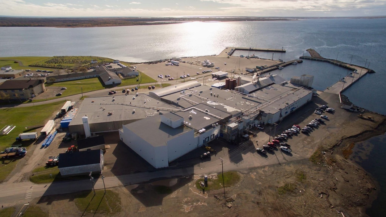 L’Association coopérative des pêcheurs de l’Île se met à l’abri de ses créanciers