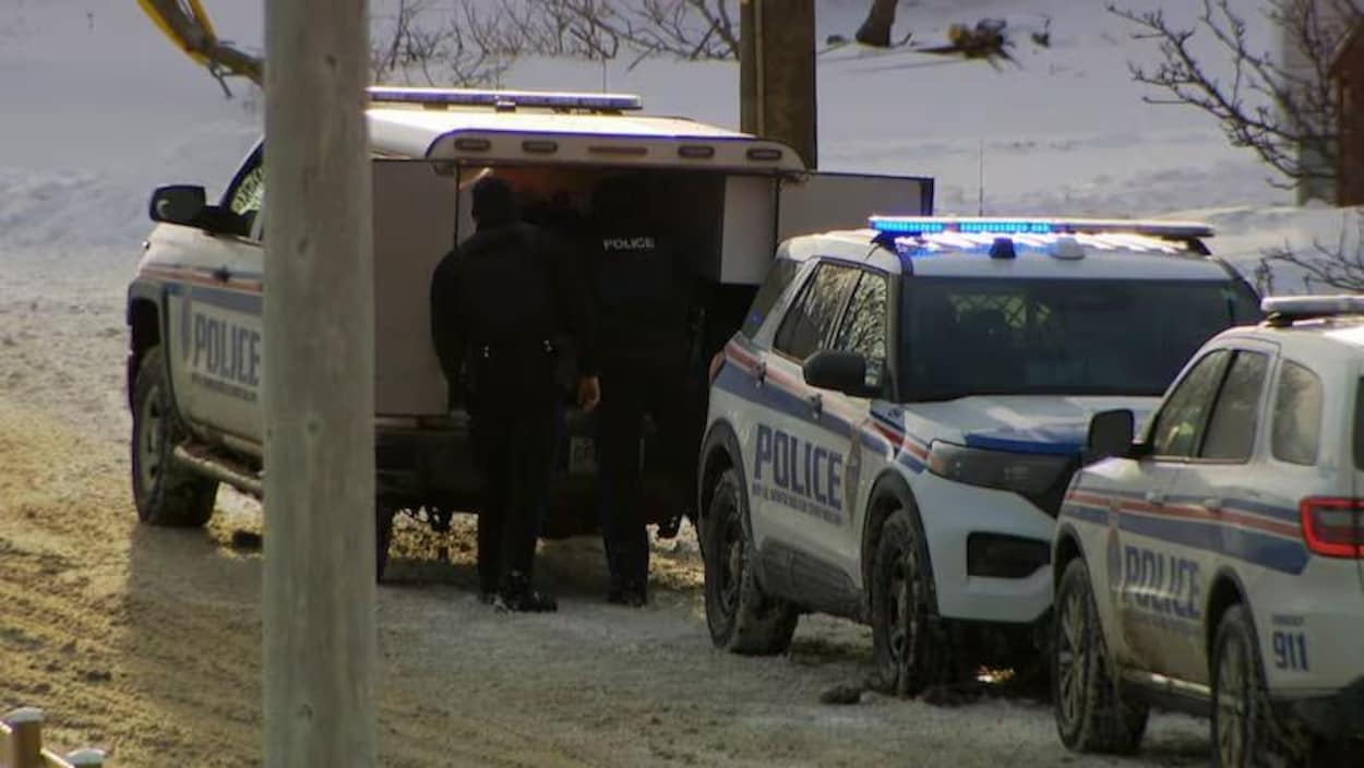 Quatre personnes blessées dans une attaque de chiens à T.-N.-L.