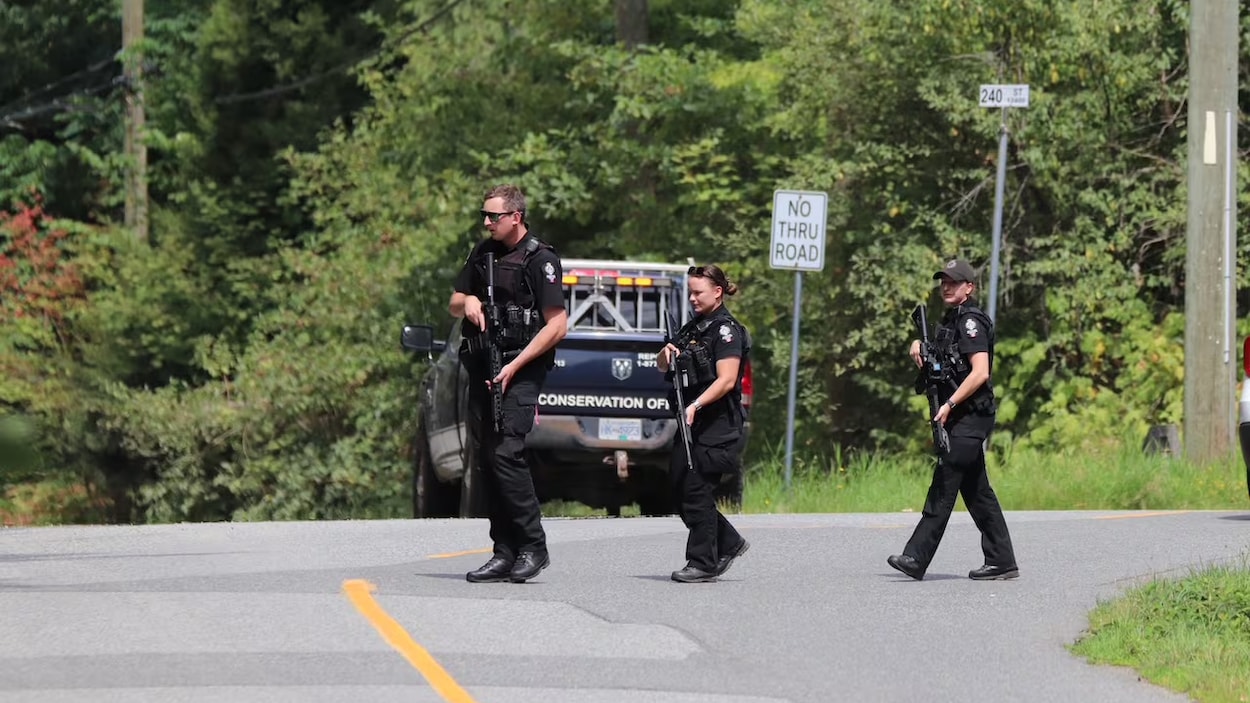 Une petite fille de 3 ans attaquée par un ours noir à Maple Ridge