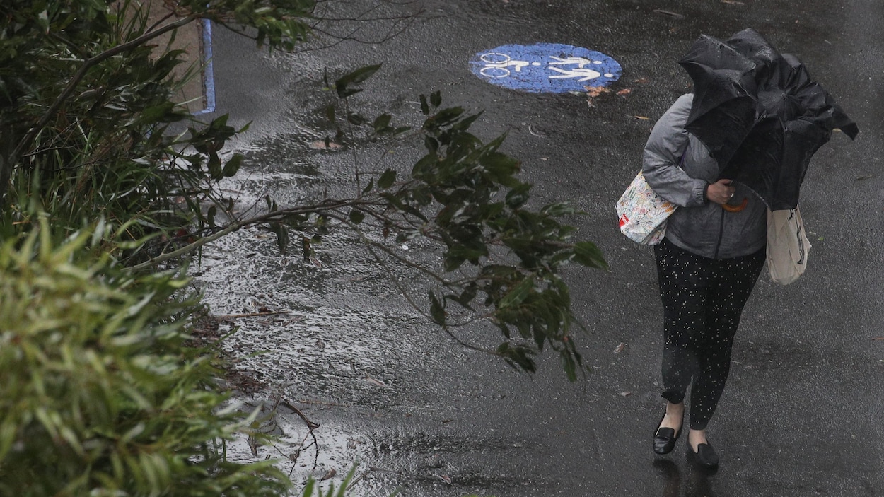 Une piétonne marche sous la pluie avec un parapluie