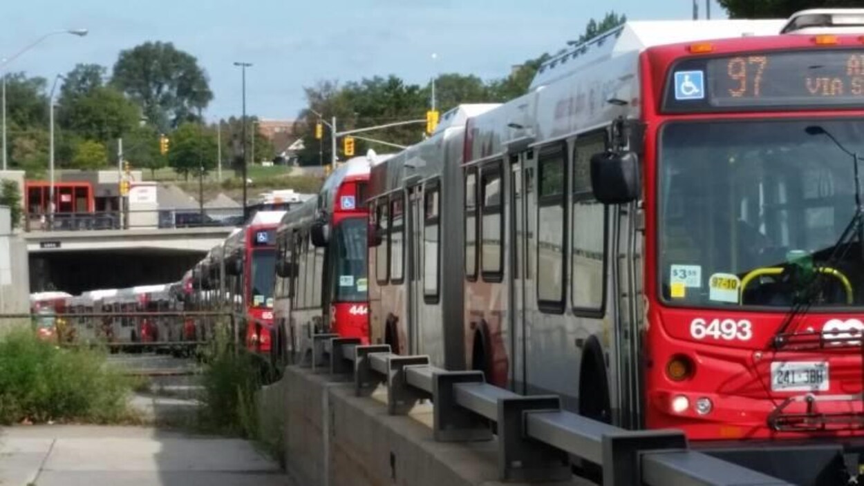 Des autobus à Ottawa. Des autobus à Ottawa.