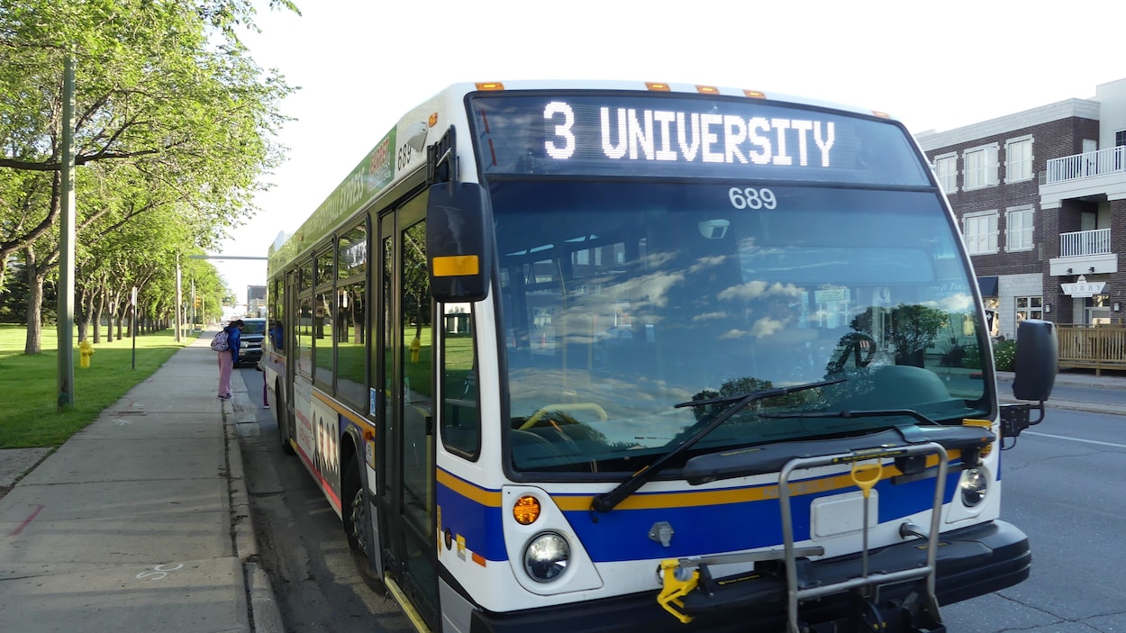 Deux adolescents accusés d’avoir brandi une arme à feu artisanale dans un autobus à Regina