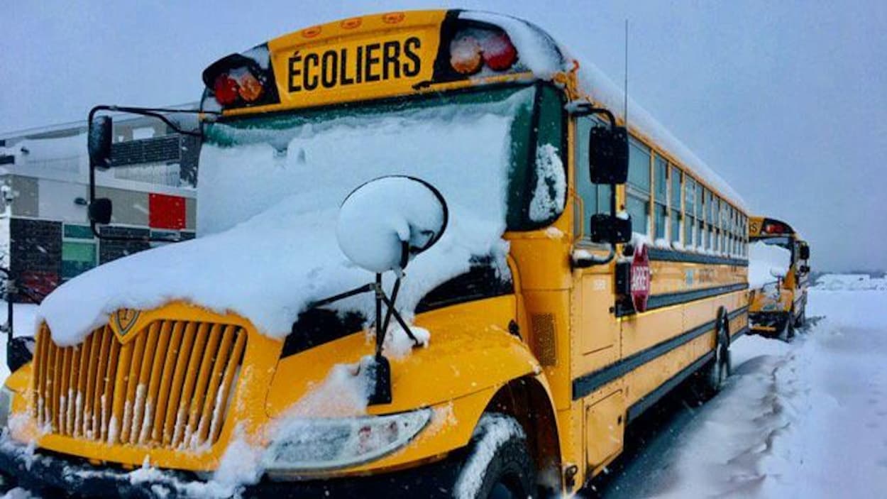 Des autobus scolaires recouvert de neige fraîche Des autobus scolaires recouvert de neige fraîche