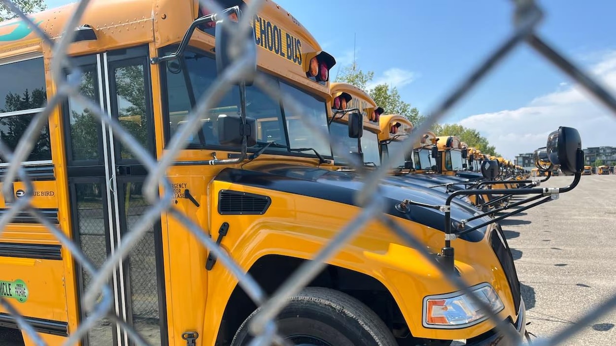 Jusqu’à 16 000 élèves pourraient être privés d’autobus scolaires dans Grey-Bruce