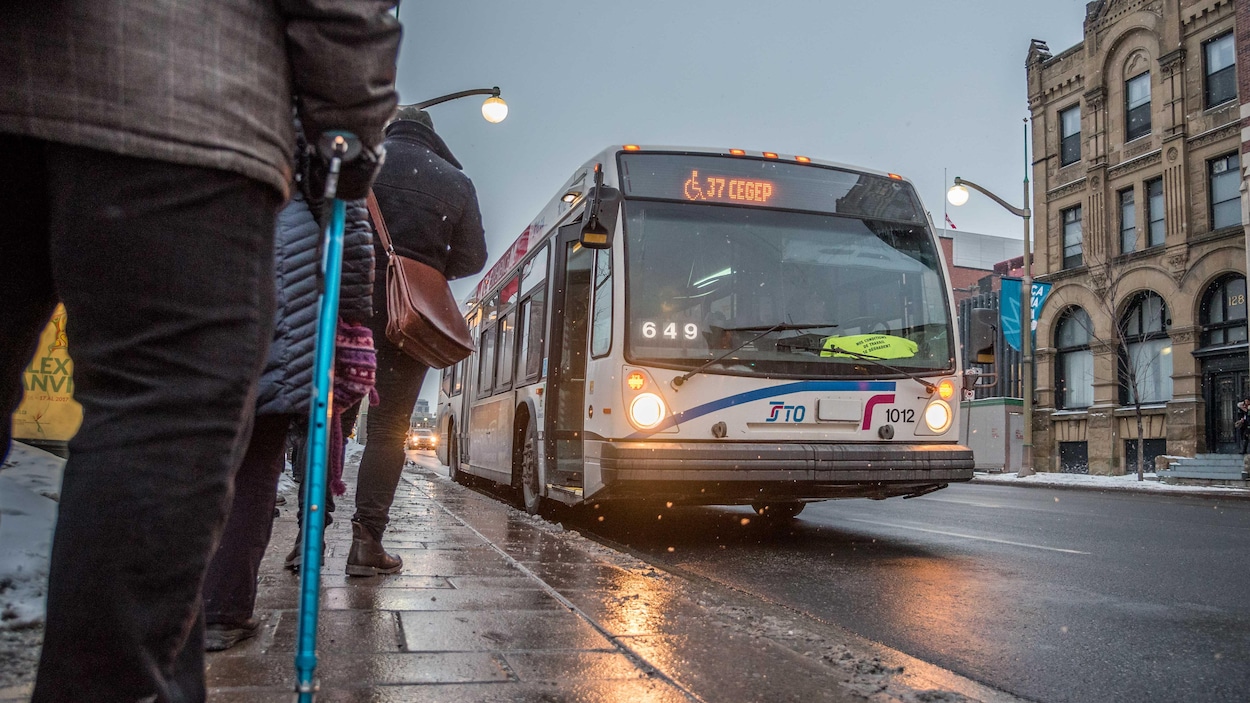 Des citoyens attendent un autobus de la Société de transport de l'Outaouais Des citoyens attendent un autobus de la Société de transport de l'Outaouais