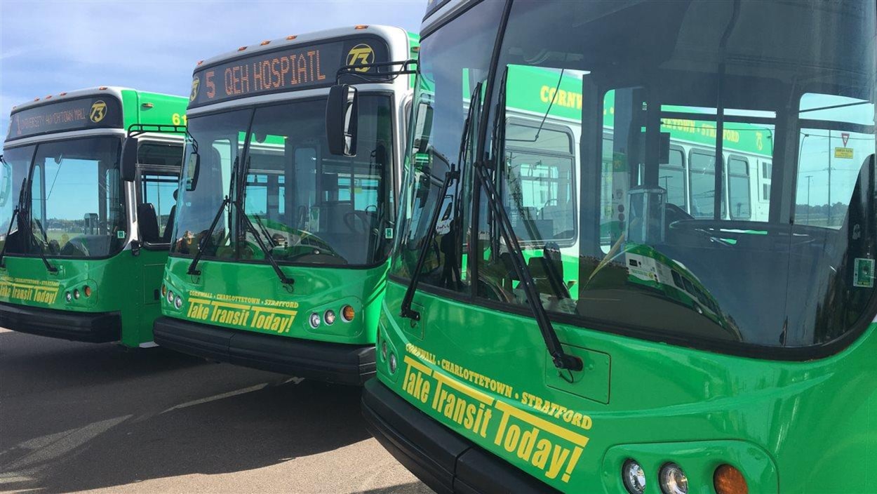 Trois autobus de couleur verte dans un stationnement.
