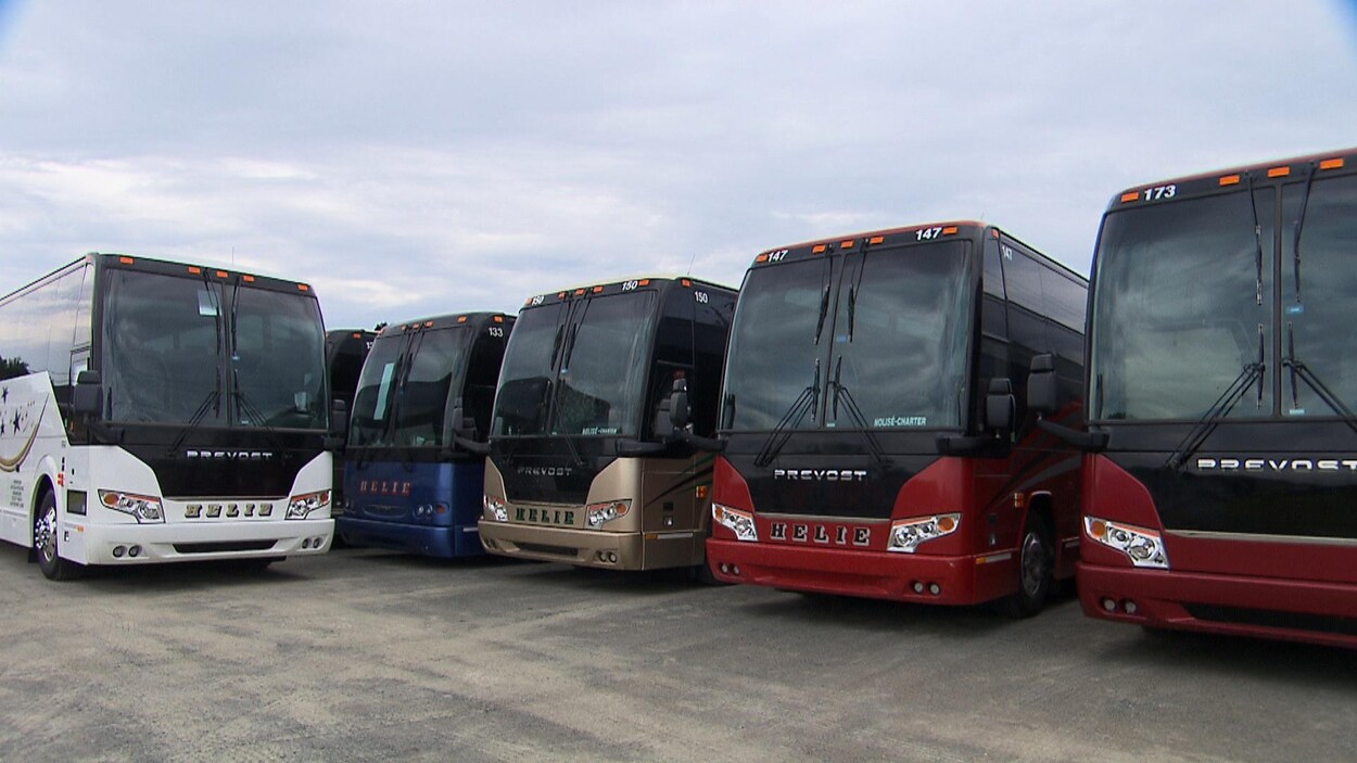 Cinq autobus de type voyageurs