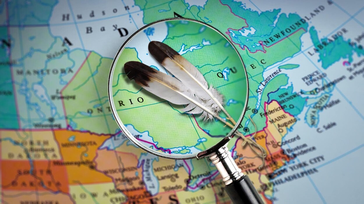 Des plumes vues à travers une loupe sur la carte du Canada. Des plumes vues à travers une loupe sur la carte du Canada.