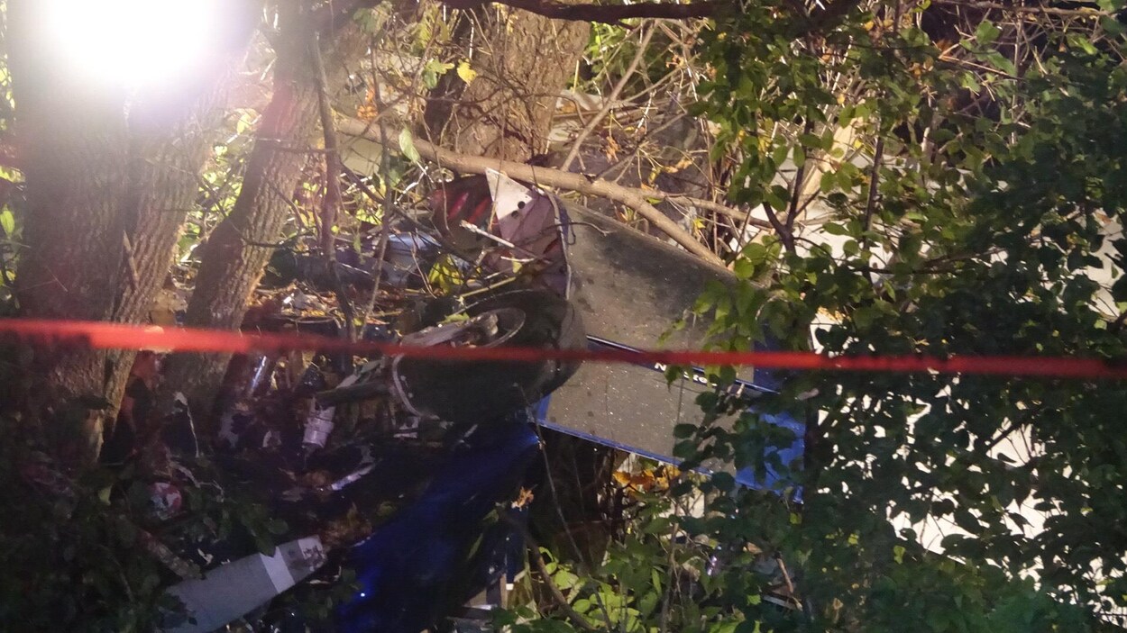Un petit appareil Cessna est en morceau dans un boisé. Un petit appareil Cessna est en morceau dans un boisé.