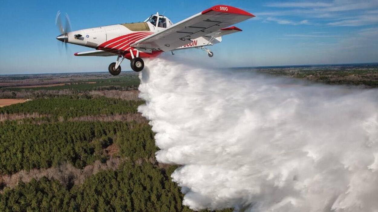 Un avion rouge et blanc dans le ciel qui jette de l'eau sur des arbres plus bas.