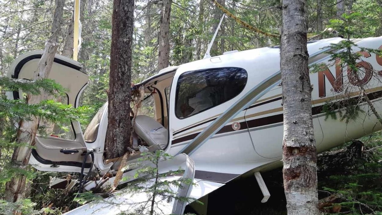 Un avion écrasé au milieu de la forêt.