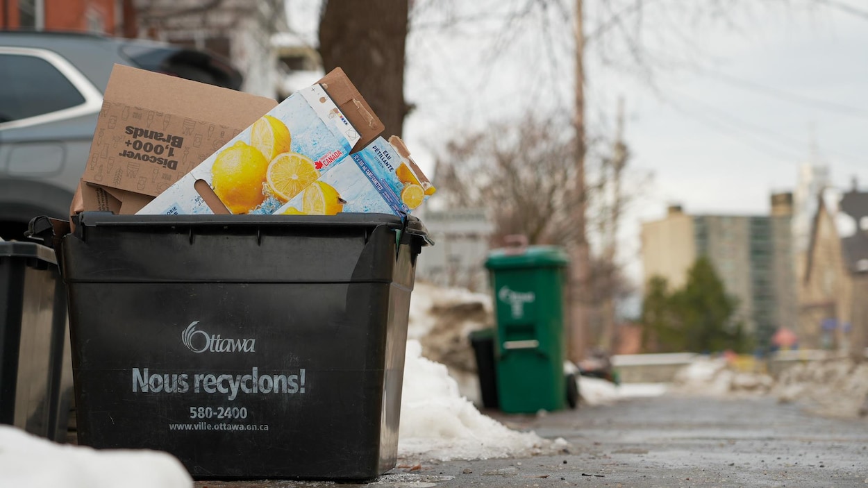Collecte des matières recyclables : ce qui change à Ottawa