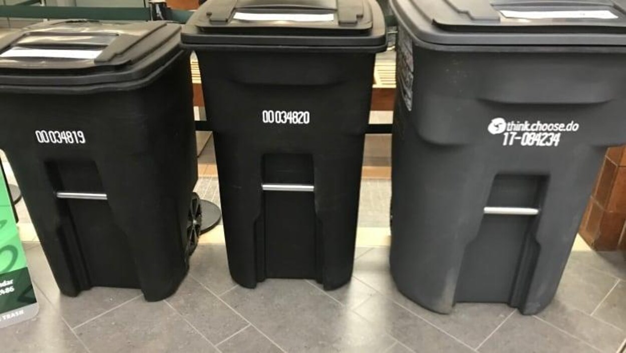 Trois bacs à ordures.