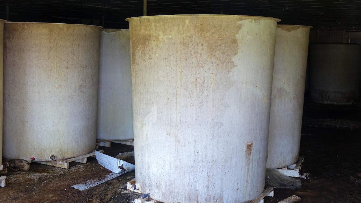 Des déchets malodorants sont évacués par camion à Terre-Neuve-et-Labrador