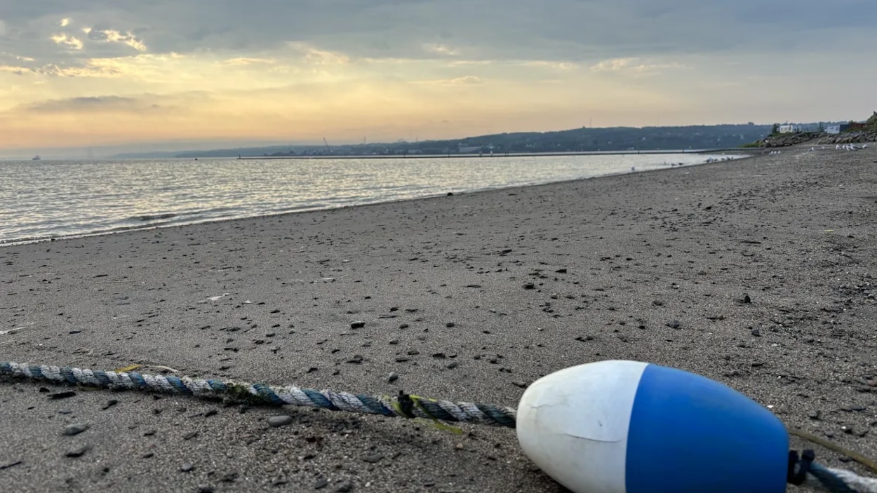Baignade interdite à la baie de Beauport