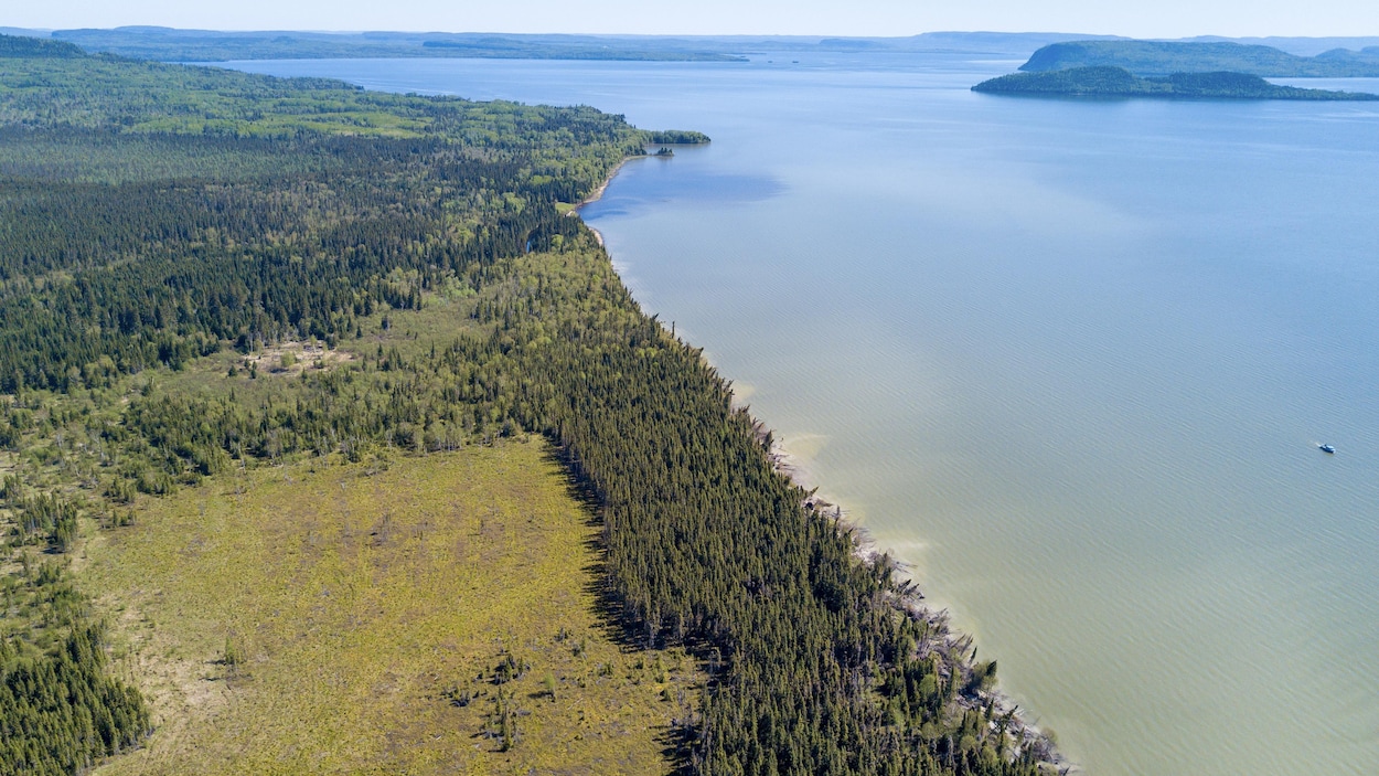 Une vue aérienne d'une baie et d'une forêt. Une vue aérienne d'une baie et d'une forêt.