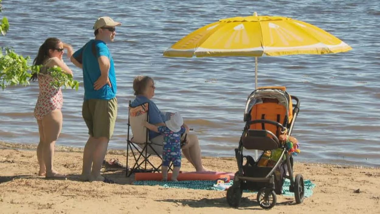 Algues bleu-vert et E. coli : comment la Saskatchewan protège ses baigneurs cet été