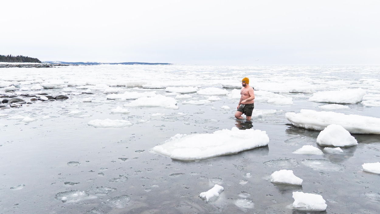 Les communautés des glaces