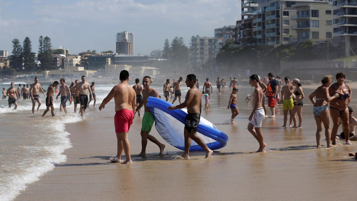 Des baigneurs sur une plage.