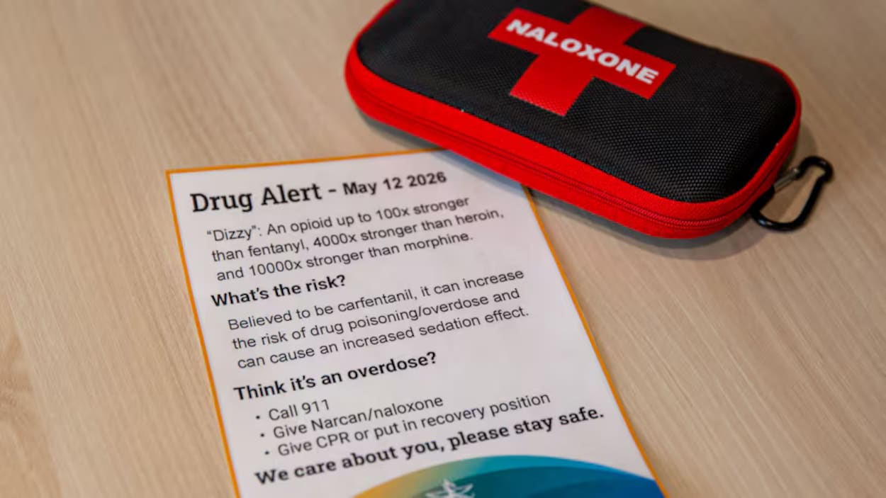Décès par opioïdes : l’Ontario en baisse, le Nord de la province toujours en alerte