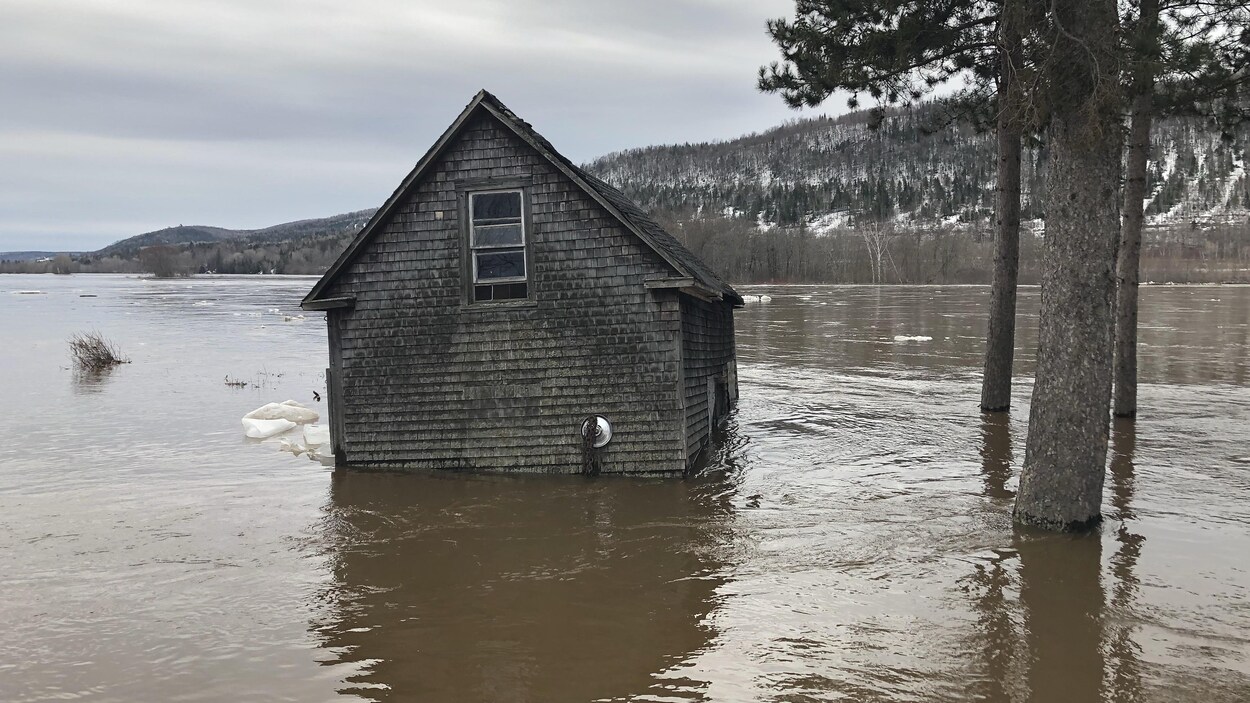 L'eau entoure un chalet et des arbres.