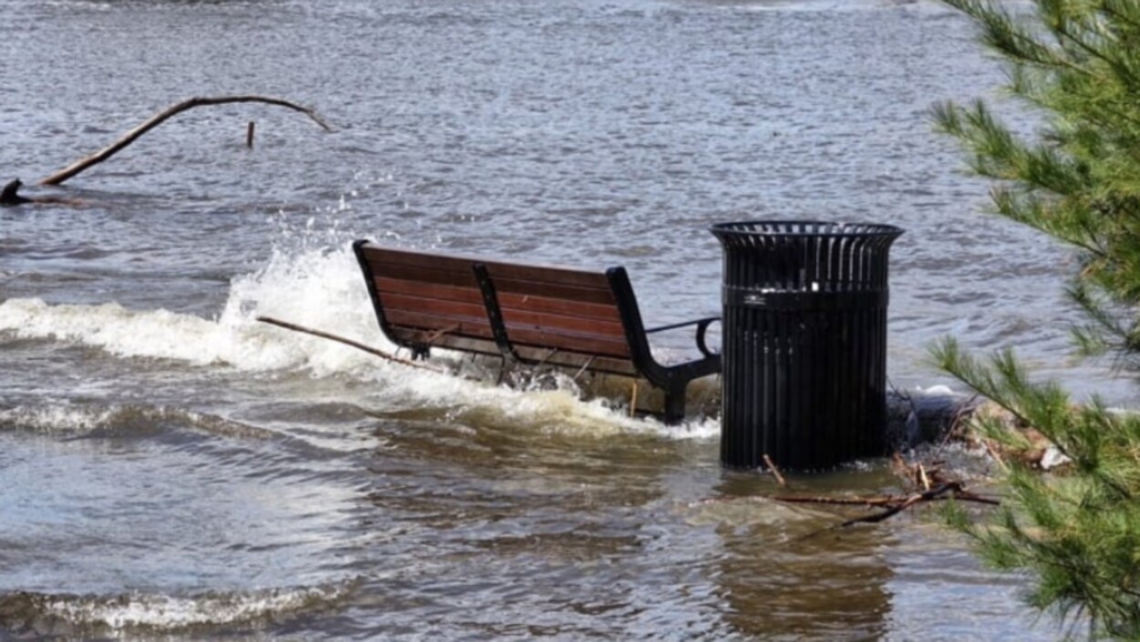 Un banc de parc et une poubelle entourés d'eau.