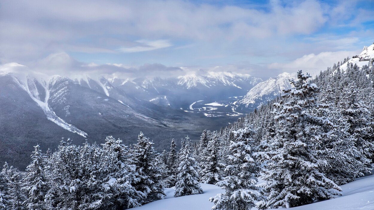 Vu en plongée du parc national de Banff en Alberta.