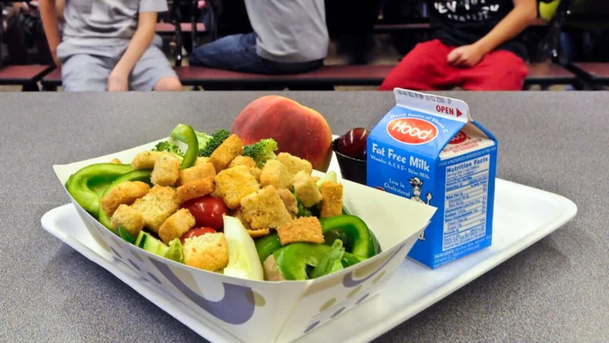 Un plateau avec une petite brique de lait, un lunch avec des croûtons, un poivron vert, des tomates, des brocolis, une pêche.