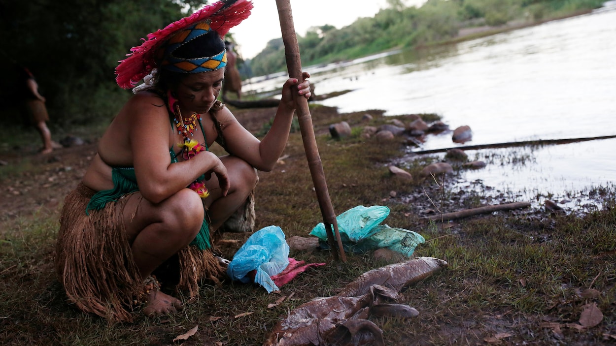 Une femme autochtone, vêtue d'une coiffe de bois tressé rose et de plumes, contemple un poisson mort, recouvert de boue.