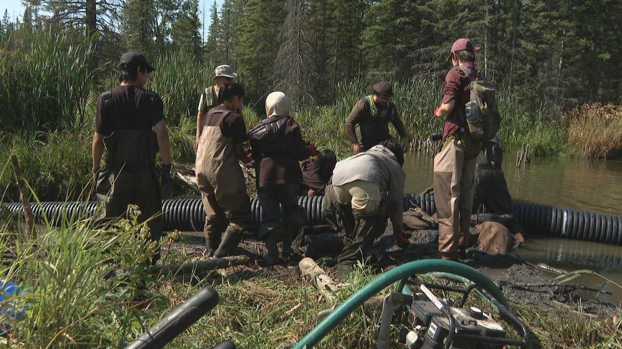 Un projet pour éviter les inondations causées par les barrages de castors à Calgary