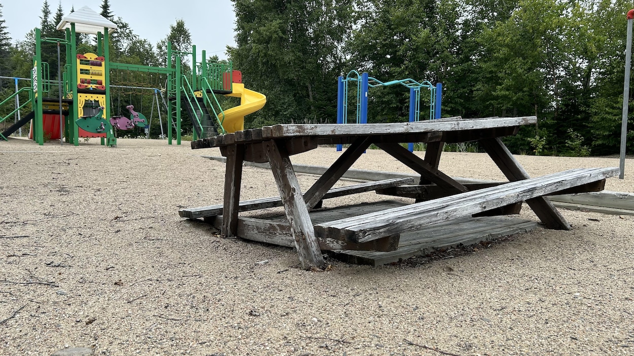 Un Port-Cartois dénonce l’abandon de la base plein air de son enfance