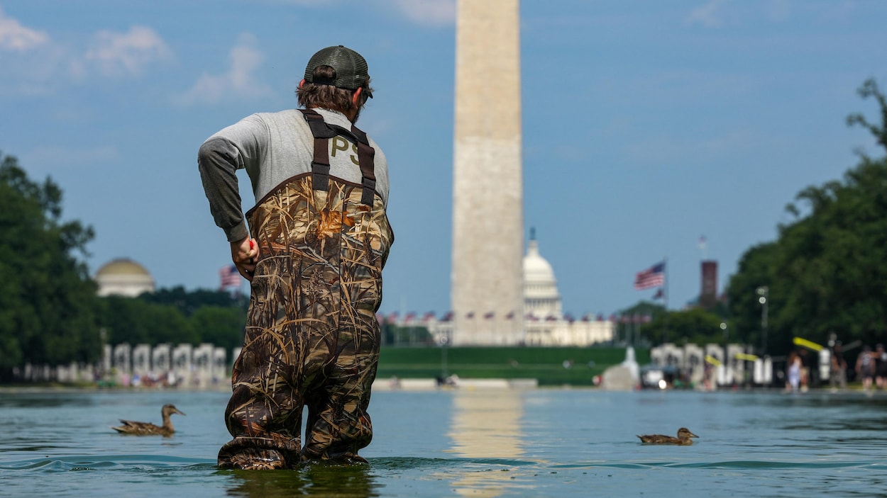Donald Trump impute à des « vandales » la dégradation du bassin-miroir
