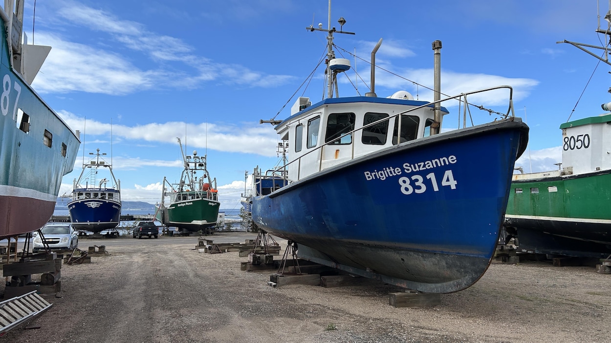 Des itinérants trouvent refuge dans les bateaux