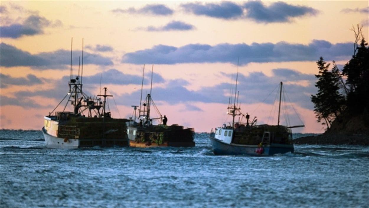 Trois bateaux de pêche au lever du jour
Trois bateaux de pêche au lever du jour