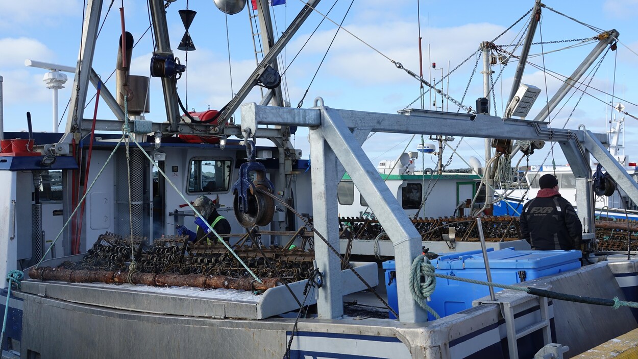 Ottawa resserre la surveillance de la pêche au pétoncle
