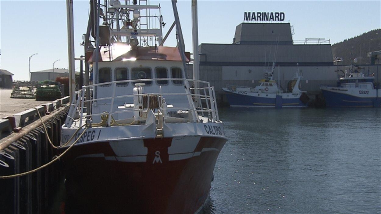 Un bateau de pêche est amarré à un quai.