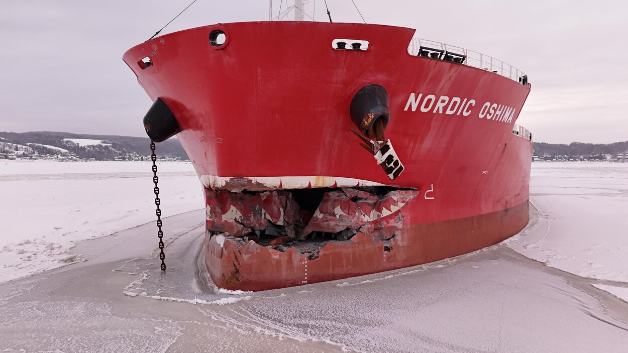 Collision avec un quai de Rio Tinto : le BST envoie des enquêteurs sur le Nordic Oshima