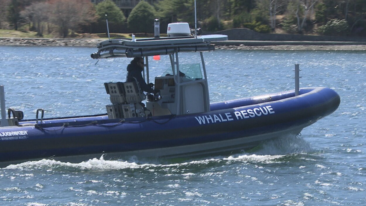 Un nouveau bateau pneumatique à l'arrêt près de la côte