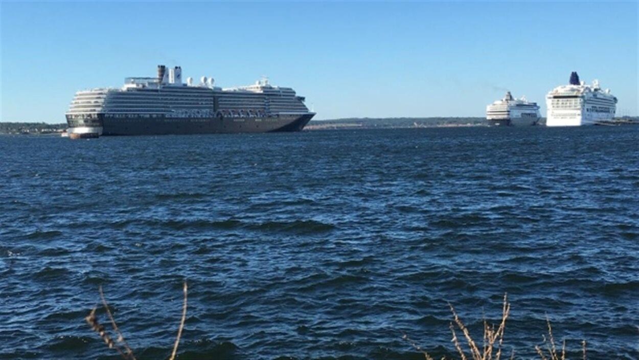 Des bateaux de croisière dans le port de Charlottetown, à l'Île-du-Prince-Édouard.
