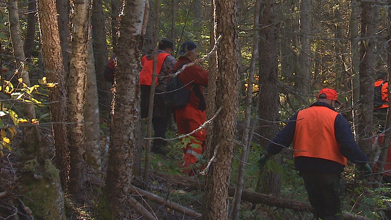 Des personnes marchent dans une forêt. Des personnes marchent dans une forêt.
