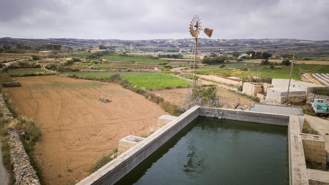 Boire l’eau de la mer et des égouts à Malte RadioCanada.ca