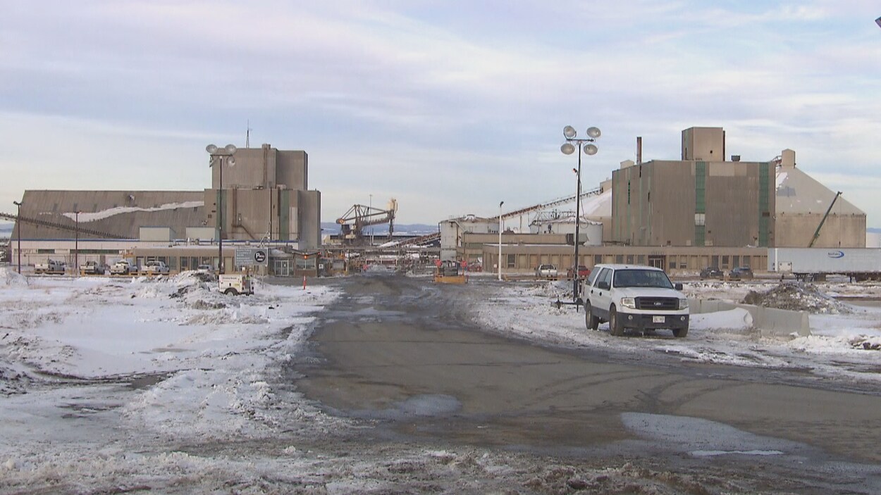 Quelques véhicules sont garés devant les bâtiments de l'usine.